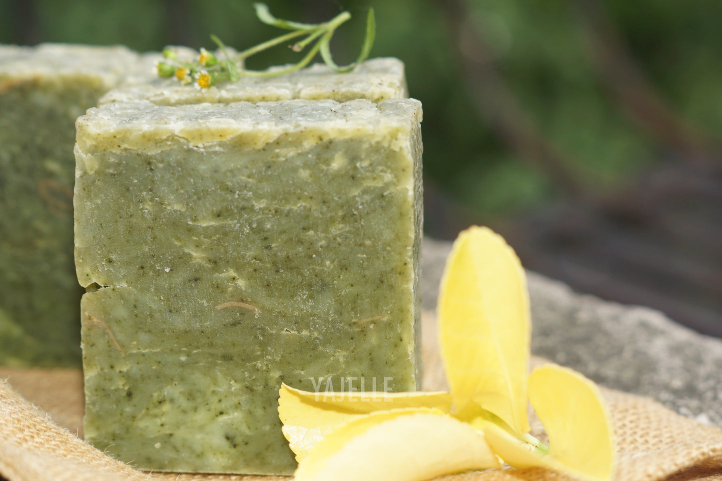 Natural Green Spirulina Soap